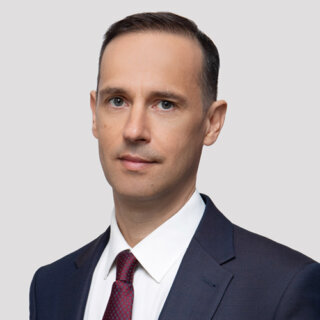 Пешин Николай Леонидович — Советник, доктор юридических наук, профессор